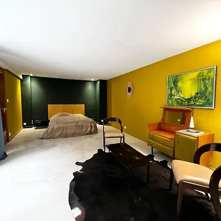 Grand Loft Proche Du Centre Avec Jardin Et Piscine