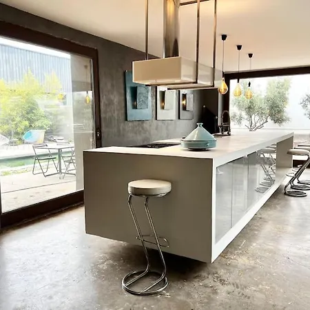 Villa Grand Loft Proche Du Centre Avec Jardin Et Piscine