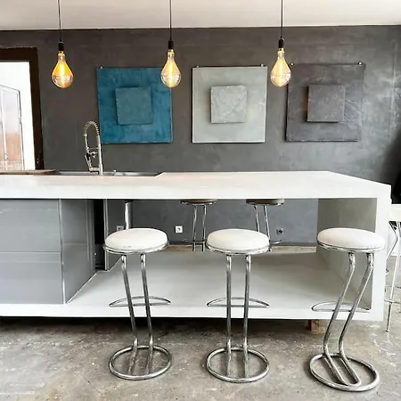 Grand Loft Proche Du Centre Avec Jardin Et Piscine Pezenas