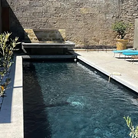 Grand Loft Proche Du Centre Avec Jardin Et Piscine Villa
