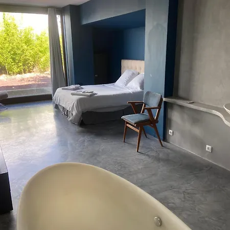Grand Loft Proche Du Centre Avec Jardin Et Piscine *