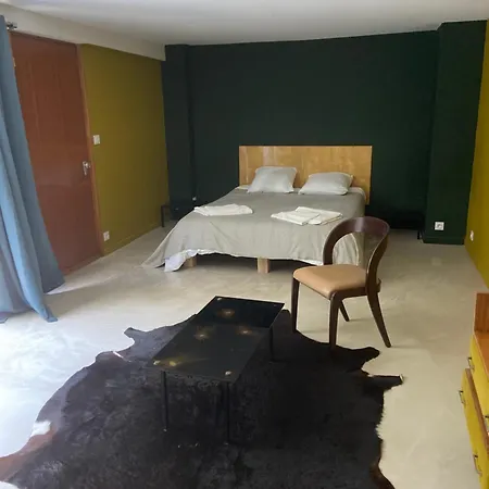 Grand Loft Proche Du Centre Avec Jardin Et Piscine Villa