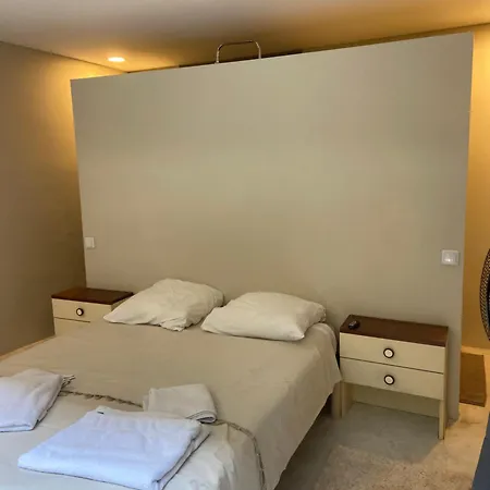 Villa Grand Loft Proche Du Centre Avec Jardin Et Piscine