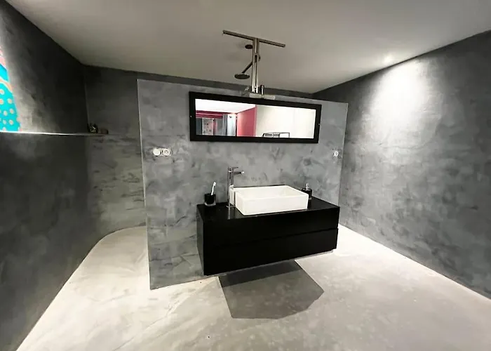 Grand Loft Proche Du Centre Avec Jardin Et Piscine *